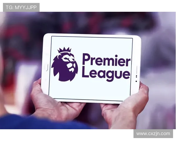 英超各球队营收情况分析及财政健康指数对比