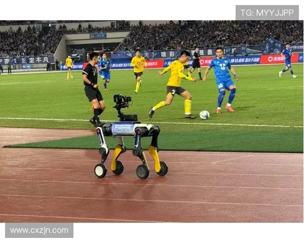 足球赛事中的电视转播与观众参与